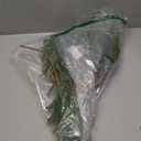 MISSPIN 12 Pcs 21.5 Inches Christmas Norfolk Pine Branches, Norfolk Pine Artificial Christmas Branches DIY Crafts Faux Pine Branches for Xmas Indoor Outdoor Home Decor