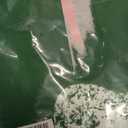 TMSD Women's Mardi Gras St Patrick's Day Sweatshirt Raglan Sleeve Crew Neck Top (Large)