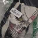 Ghost Mask Skull Full Face Mask for War Game Outdoor Sport (One Size, Multicolored)