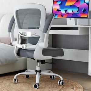 TRALT Office Chair - Ergonomic Desk Chair with Adjustable Lumbar Support, Mesh Computer Chair, Executive Chair for Home Office Comfortable Lumbar Support (1, Fog Gray)