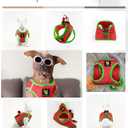 EcoBark Small Dog Harness - Luxury Soft Step in Reflective Ultra Padded Mesh Dog Harnesses for Toy Breed Dogs - Comfortable & Secure Body Halter Pet Vest (Small, Watermelon)