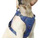 Rabbitgoo Dog Harness Medium Sized No Pull, Tactical Service Pet Vest with Molle and Control Handle, Adjustable and Reflective Military Harness for Easy Walking and Training, Blue, M