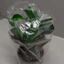 AlphaAcc Artificial Succulents Plants Decor Greenery Fake Succulents Indoor Potted Fake Plant with Rustic Black Clay Planter for Farmhouse Room Bathroom Bedroom Kitchen Office Dese Coffee Table Decor (12.8" H)