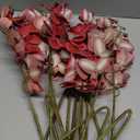 FagusHome 32 Inch Artificial Phalaenopsis Flowers 6 Pcs Artificial Orchid Flowers Stem Plants for Home Dcor (Red)