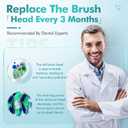 12x Replacement Toothbrush Heads Compatible with Philips Sonicare Replacement Heads, for Sonicare Replacement Brush Heads, Pack of 12 Professional Electric Toothbrush Heads Black