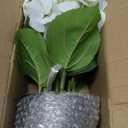 Hollyone White Hydrangea Artificial Flowers in Pots 15.7" Five-Head Faux Silk Hydranges Flower Arrangements for Indoor Home Office Kitchen Table Centerpieces Wedding Decorations