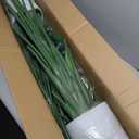 Bird of Paradise Plant Artificial - 6FT Faux Plants Indoor Tall with Realistic Trunks - Indoor Silk Floor Plant for Home Decor in Living Room, Office, and Bedroom