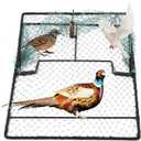 Humane Pigeon Trap,Bird Trap for Quail,Turkey,Net Traps (15.7x19.7 inch)