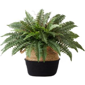 Nearly Natural 23in. Artificial Boston Fern Plant with Handmade Jute & Cotton Basket DIY KIT
