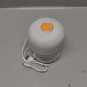 Electric Garlic Chopper, Mini Portable Veggie Chopper, 250ML Garlic Grinder Masher Onion Grinder, Blender to Vegetable, Wireless Food Processor for Ginger, Chili, Fruit, Meat, etc (White)