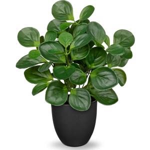 14.5" Artificial Plants Indoor Home Decor, Fake Potted Silk Plants for Shelves Living Room Decorative, Small Artificial Office Desk Plants in Pots, Faux Peperomia Hope Tropical House Plant