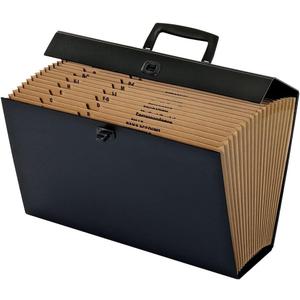 Pendaflex Globe-Weis 19-Pocket File Express Case (11170) , Assorted Colors, Legal