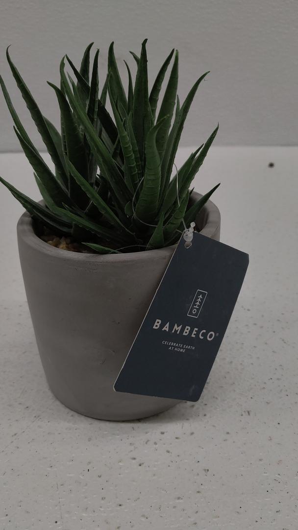 Bambeco Tabletop Bamboo Decoration Plant