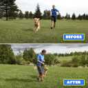 2 x Barks No More Dog Training Device & Bark Deterrent - Stop Barking Without Hurting Your Pet - Just Point & Press!