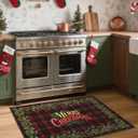 GarveeHome 2x4 Christmas Red Checkered Rug for Entryway Non Slip,Christmas Holly Fruit Print Kitchen Rugs Washable Area Rug, Low Pile Soft Holiday Decor Small Carpet for Entrance Indoor