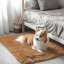 OLANLY 2x3 Machine Washable Small Bedside Rug, Soft Fluffy Shaggy Entryway Throw Rugs for Bedroom, Living Room, Indoor Floor Carpet for Kids Girls and Boys, Nursery Rooms, Home Decor Aesthetic, Khaki