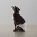 Amazon Basics Absorbent, Leakproof Male Dog Wrap Disposable Diapers, Small, Pack of 50, White