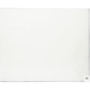 Murray Sporting Goods Courtside Premium Basketball Sticky Mat | Non-Slip Shoe Mat for Basketball Court Shoe Grip (Replacement Sheets (30))