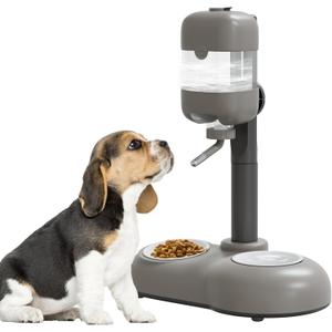 Puppy Bowls for Small Dogs,3 in 1 Bowl Set with Puppy Water Bottle and 2 Food Grade Ceramic Bowls,15Tilted Dog Food and Water Bowl Set for Cats,Rabbits,Ferrets,Small Sized Dogs (Gray)