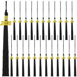 24 Pieces 2026 Graduation Tassel, Graduation Cap Tassels Decoration with 2026 Year Gold Date Charms, Grad Gifts for 2026 Year Grad Ceremonies Souvenir, Black