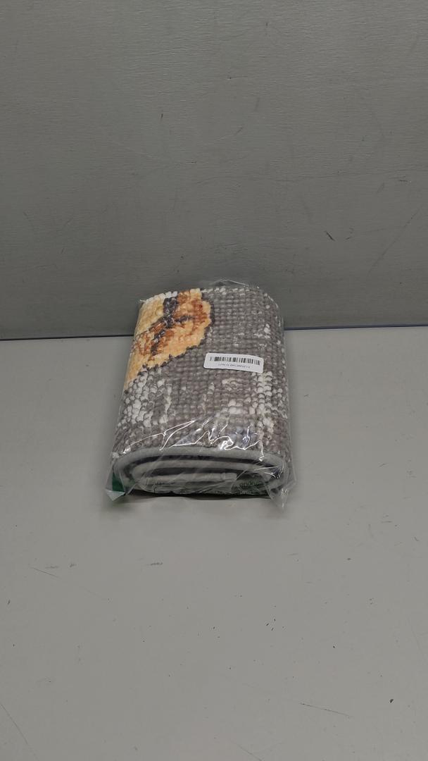 Muddy Mat® Absorbent Microfiber Door Mat and Pet Rug, Non Slip Washable Chenille Indoor Outdoor Entry Rug -  Welcome Mat Entryway 19"x30"