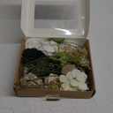 Ling's Moment Green Flowers Artificial, Emerald Green & Beige Flowers and Greenery Mini Combo Box Set for DIY Wedding Bridal Bouquet, Centerpieces, Home Decor, Floral Arrangement Decor, etc.