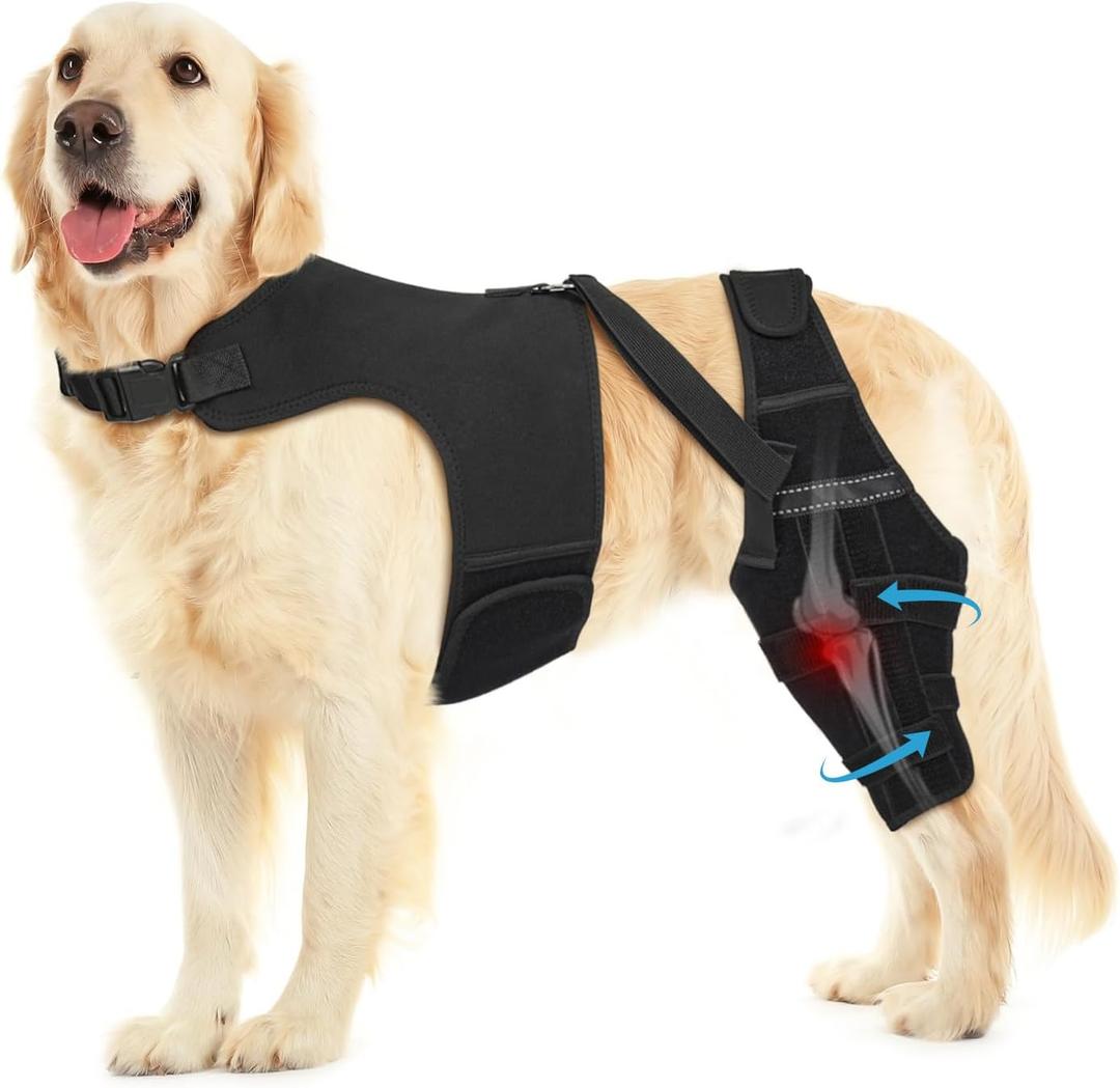 Dog Knee Brace for Torn ACL Hind Leg, Adjustable Dog Leg Braces for Back Leg with 4 Metal Stabilizers Helps with Torn CCL, Luxating Patella, Ligament Injuries, Hip Dysplasia XL