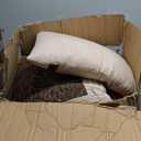 Madison Park Cozy Comforter Set-Luxury Faux Suede Design, Striped Accent, All Season Down Alternative Bedding, Matching Shams, Decorative Pillow, Red, California King (104 in x 92 in)