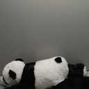 Giant Panda Stuffed Animal Plush Toy,30" Large Cute Jumbo Soft Toys,Huge Big Size Plushy Fluffy Fat Oversized Plushie,Gifts for Kids Girls