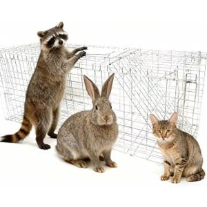 Generic Large Animal Live Trap, 24 Inch Humane Cage, Heavy-Duty Galvanized Steel Mesh for Raccoons, Cats, Groundhogs, Squirrels, Skunks, Chipmunks, Moles