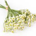 2 Bundles Small Artificial Daisy Flowers Bouquet Faux Silk Tiny Daisy Flowers for Home Garden Vase Decor (White)