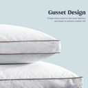 puredown Goose Feathers and Down Pillow for Sleeping Gusseted Bed Hotel Collection Pillows, Standard, Set of 2 (Standard (Pack of 2), Gusseted Style 1)