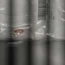 Mommy and Me Matching Outfits Halloween Pumpkin Sweatshirt Thanksgiving Baby Girl Outfit Fall Shirts (White)