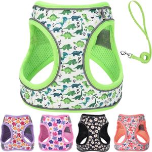 XS Dog Harness and Leash Set, Step in Dog Harness No Pull for Walking Running Training, Puppy Essentials for Dogs Cat Bunny, Adjustable Reflective Dog Vest Harness (Green, XS)