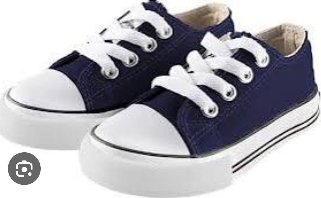 Mvlsoct Boys and Girl Low Top Canvas Kids Lace up Sneakers Size 28