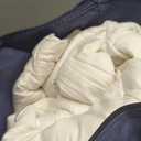 2025 Premium Upgraded Non-Vacuum Bed Quilt All Seasons 100% Cotton Filled Comforter - Reversible Lightweight Soft Breathable Fluffy (Pure White, Twin)