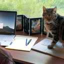 Cattop -  Laptop Pet Bed for Cats