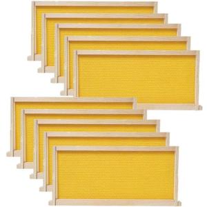BeeCastle Medium Beehive Frames and Wax Foundations,10 Pack Honey Bee Frames with Wooden Bee Hive Frames and Beeswax Coated Foundations, 6-1/4-Inch (Yellow)
