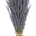 Dried Lavender Bunches 100% Fresh Natural Purple Bouquet Flowers for Bathroom Photo Props Crafts Decoration, 15-17" for Shower Weeding Vase Decor, Home Fragrance(200-220 Stems(100g/3.5oz Total))