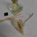 AGRARIA PetiteEssence Flower and Reed Diffuser Set, Handcrafted Sola Flower Botanical Home Fragrance, Scented Oil Diffuser Gift Set for All Occasions