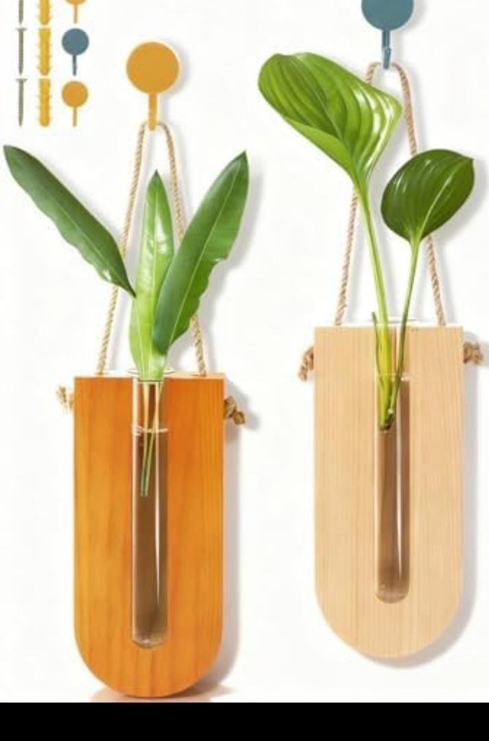 Tlence 2 Pack Wooden Indoor Wall Planters, 6" Bohemia Hanging Flower Wall Vase, Glass Tube with Wood Stand, Propagation Station for Hydroponics Plants Dried Flowers, Farmhouse Decor for Living Room