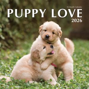 3 x 2026 Puppy Love Hangable Wall Calendar - 12" Full Page Months Dog Cute Funny Puppy Dogs Photography - Organizing & Planning (2026 Puppy Love)