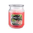 CANDLE-LITE Everyday Scented Juicy Watermelon Slice Single-Wick Jar Candle, 18 oz, Pink
