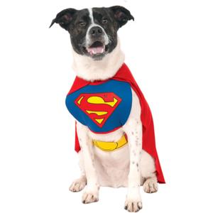 DC Comics Superheroes: Superman Pet Costume for For Dogs or Cats by Rubies, Medium (Medium (Pack of 1))