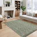 LEEVAN Washable Area Rug 4x6, Hand-Woven Cotton Living Room Rug, Green Braided Bedroom Rug, Farmhouse Indoor/Outdoor Floor Carpet for Patio, Nursery, Office, Playroom, Dining Room