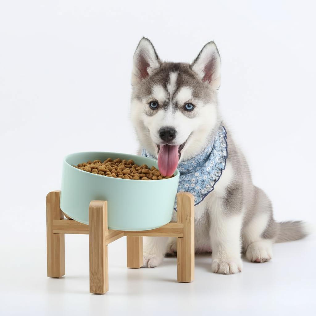 Petygooing Elevated/Raised 15Slanted Ceramic Dog Bowl for Small and Medium Breeds, Tilted Anti Slip Pet Bowl,Food Water Dish with Stand for Cats and Dogs (28 OZ/3.6 Cups) Blue Sky