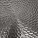 VEDNHOL Titanium Pan, 12 Inch Pure Titanium Hammered Pro frying pan with Lid, NonToxic Skillet for Cooking, PFAS/PFOA/PTFE Free Cookware, Dishwasher&Oven Safe, Kitchen Induction Compatible, 12in w/lid, Titanium