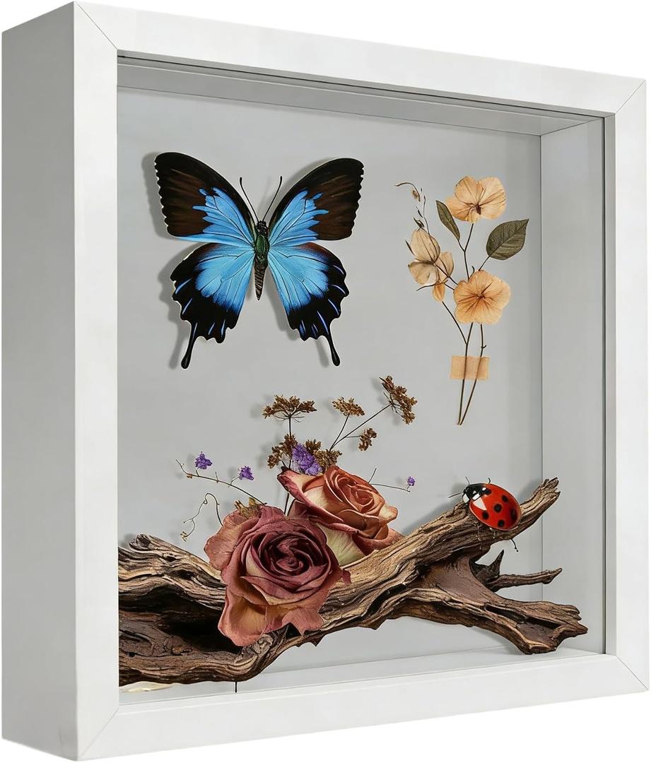 8x8 Shadow Box Frame Display Case, 3D Picture Frame, Display Case Box for Memorabilia, Baby Items, Wedding Memories, Crafts, Tickets and Photos (White)