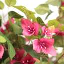 Damomo 5 Feet Artificial Bougainvillea Tree with Flowers in Plastic Pot Faux Blooming Tree for Decor Indoor or Outdoor Home Office, 1 PCS(63 inch)