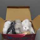 Bedwina Plush Puppy Dogs - (Pack of 12) 6 Inches Tall Stuffed Animals Bulk Assorted Puppies and Cute Stuffed Plushed Dog Puppies Assortment, Stocking Stuffers